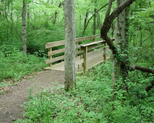 tracetrailbridge3