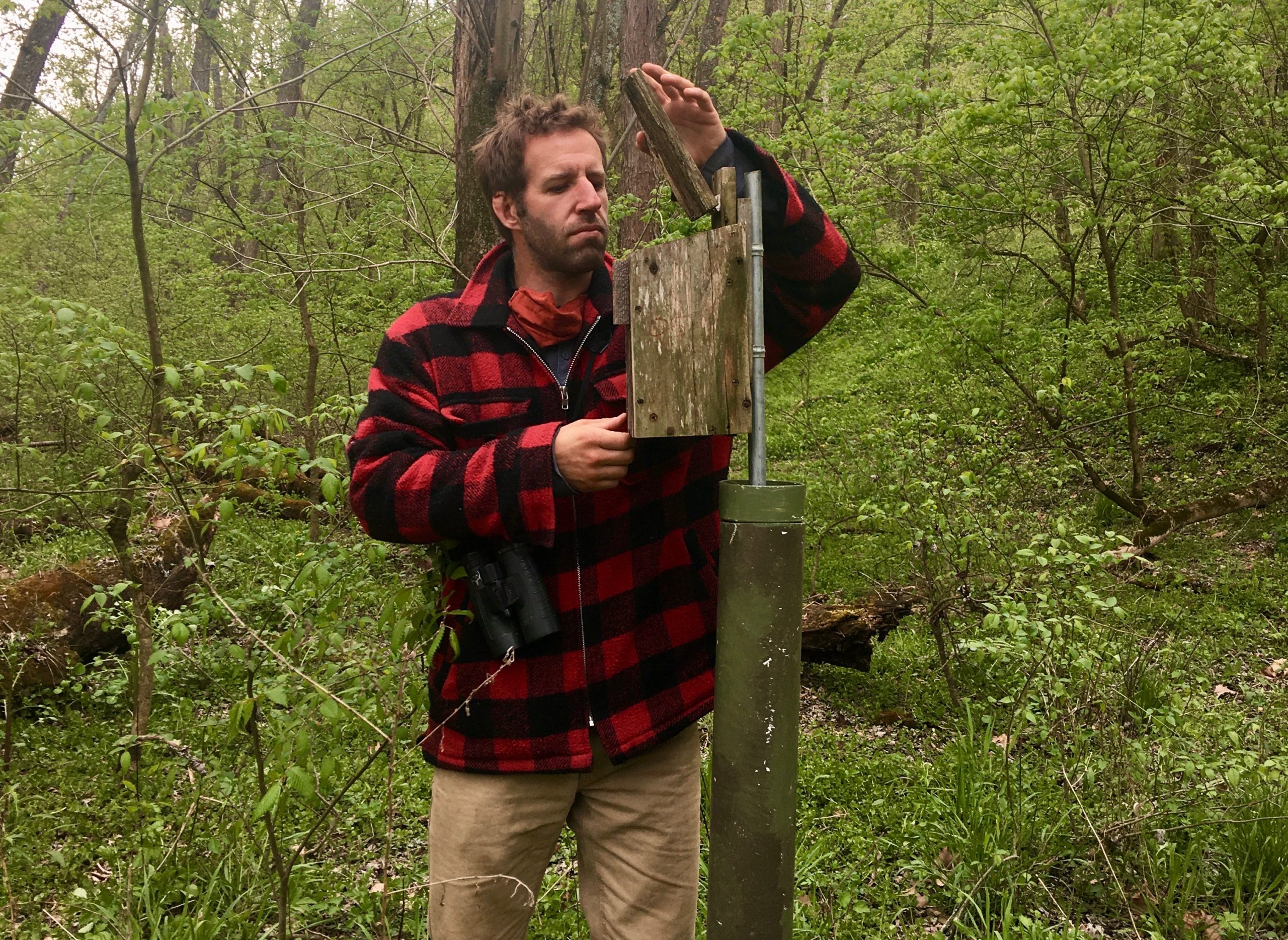 They’re Back! Warbler Time