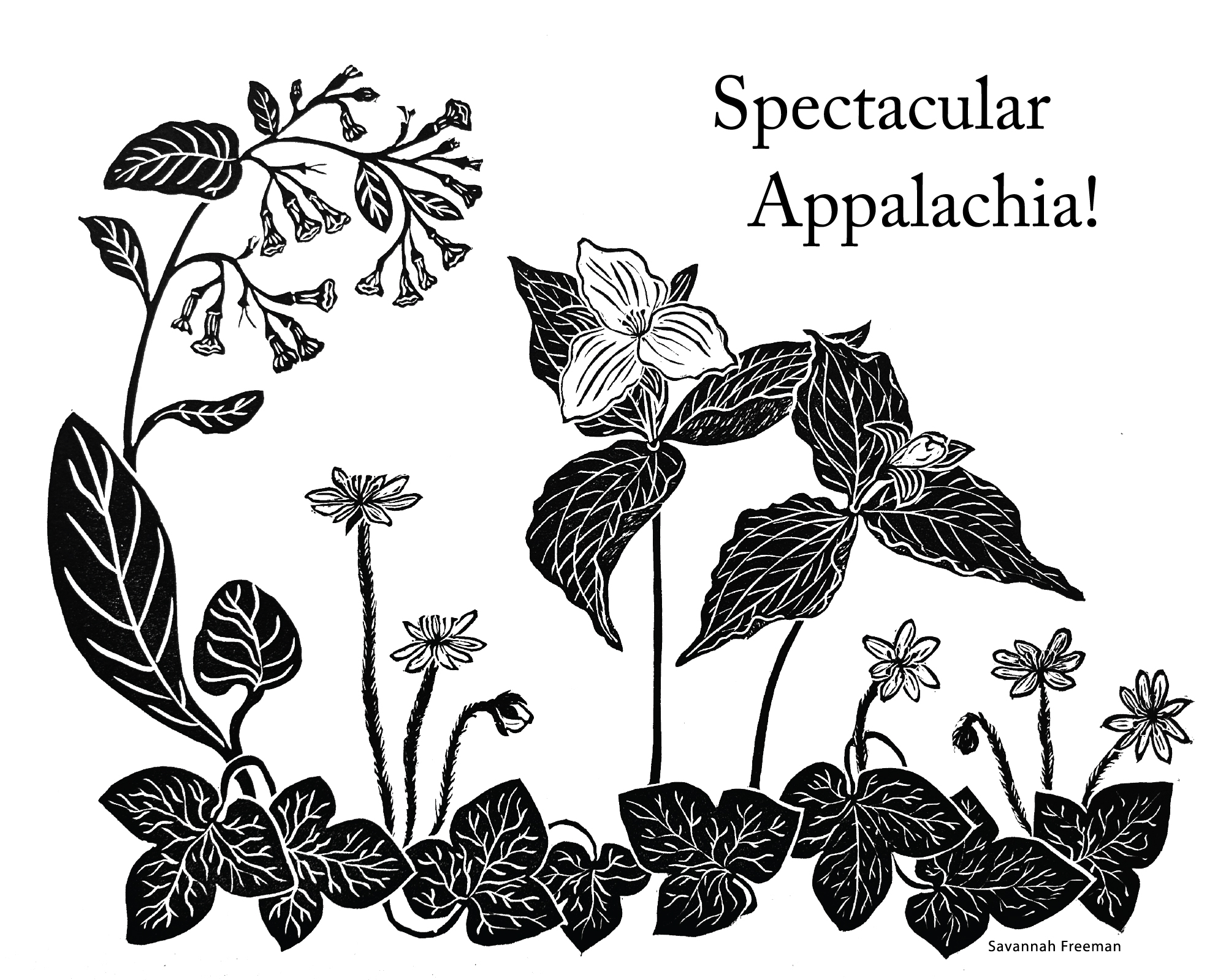 Wildflower artwork unveiled