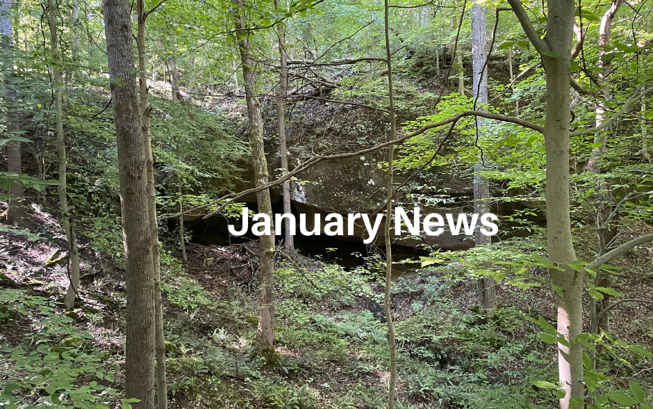 Read our latest news!