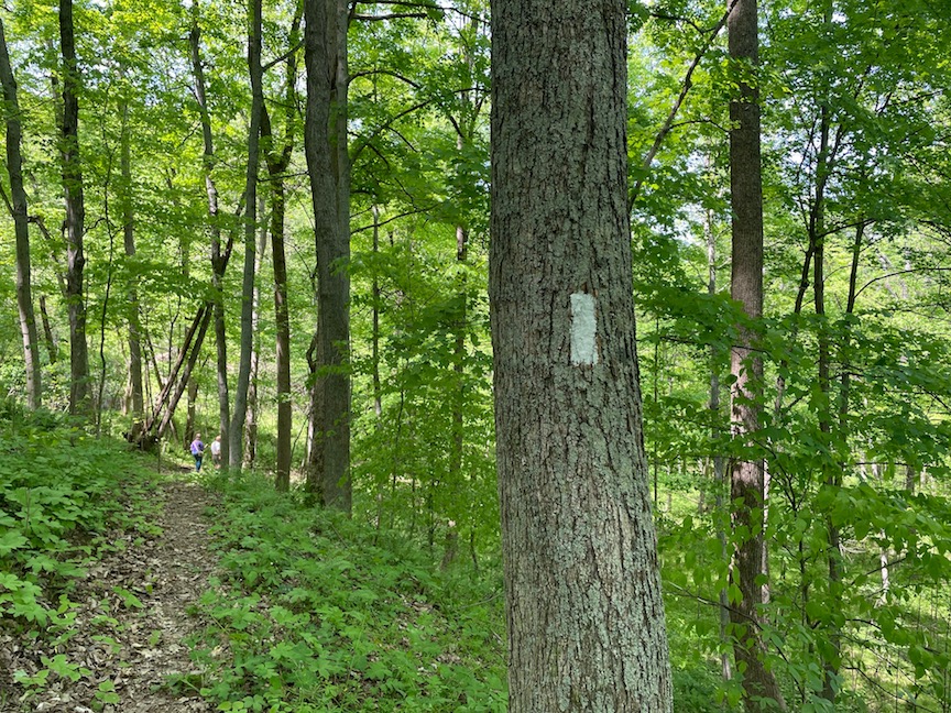 Athens County Foundation Grant Announced