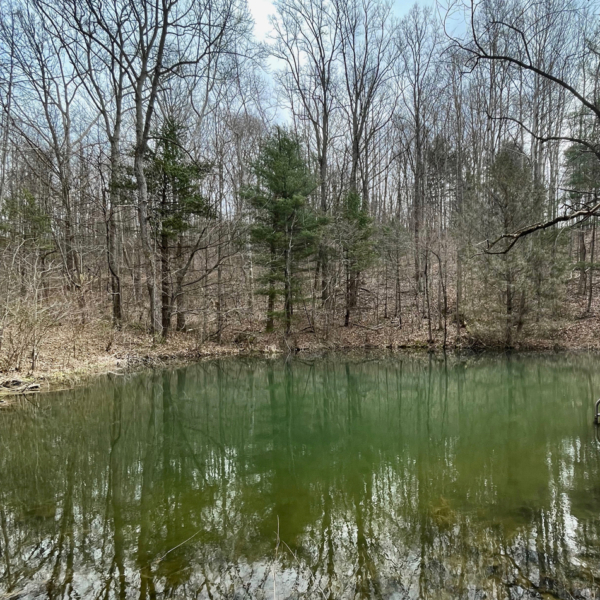 IMG_2541_pond