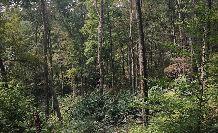 International Research in Baker Preserve