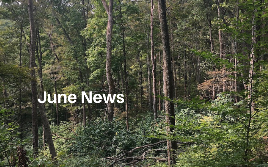 Read our latest news!