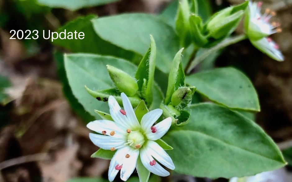 Athens Conservancy: 2023 Update