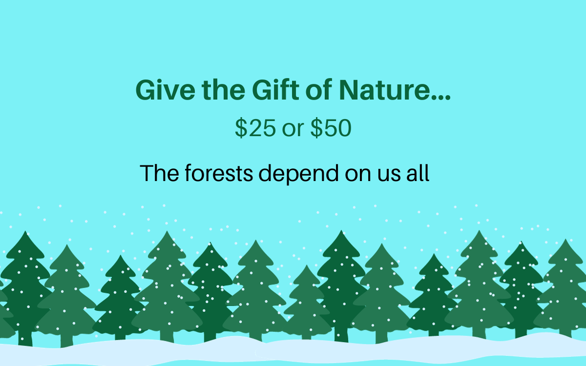 Need a gift? We’ve got you covered