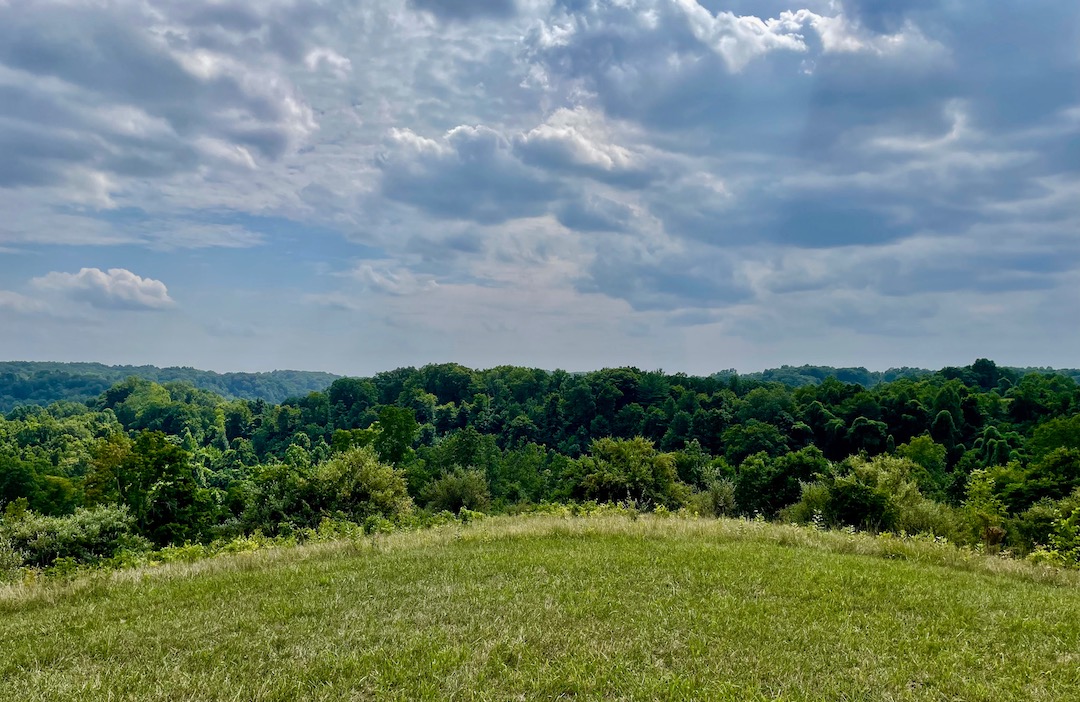 Athens Conservancy adds nature preserves, 76 acres