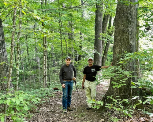 Athens Conservancy Winner Woods copy