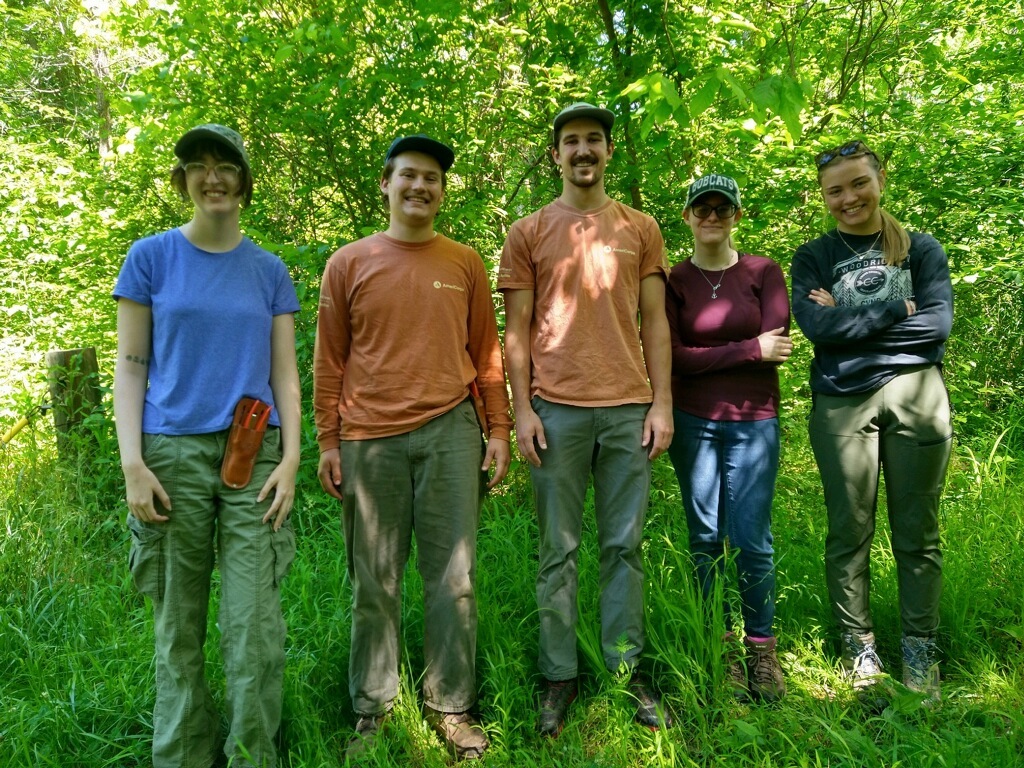 Healthy Forest Fund: Such an impact in our preserves!