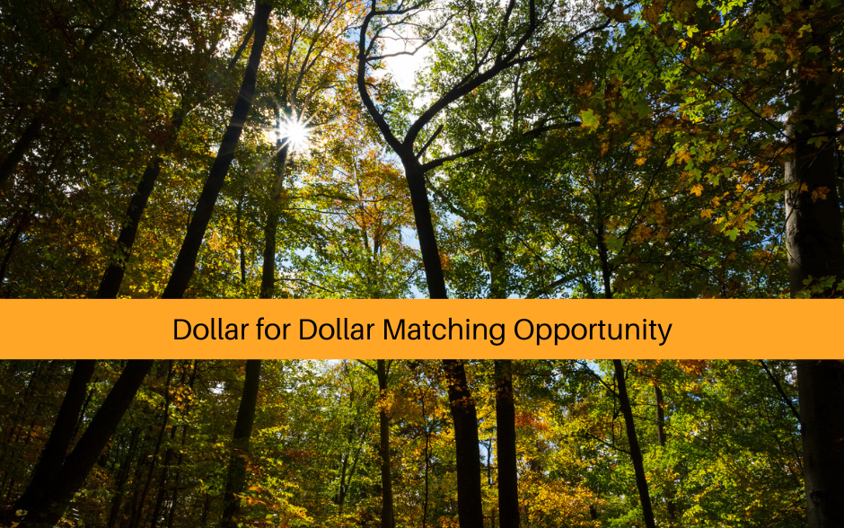 Double the impact of your gift