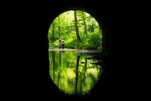 Athens-Belpre Rail-Trail