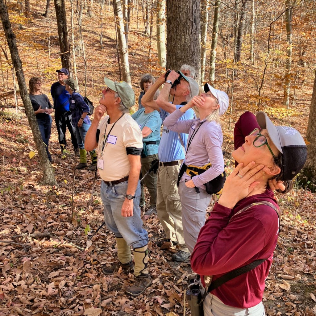 A group of people enjoying nature