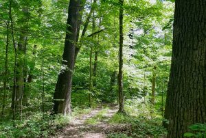 Lois Busch Winner Nature Preserve