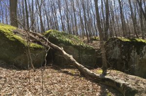 Marietta Run Preserve