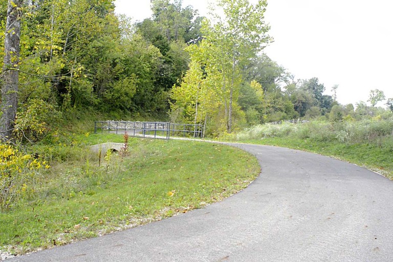 A road into the woods