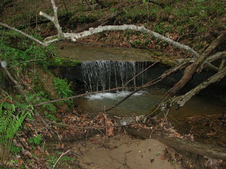 A waterfall in the woods