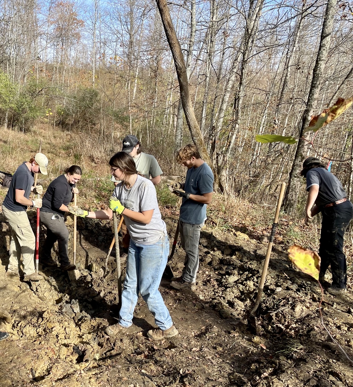 people working on trail maintenance