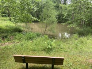 A bench by a pond