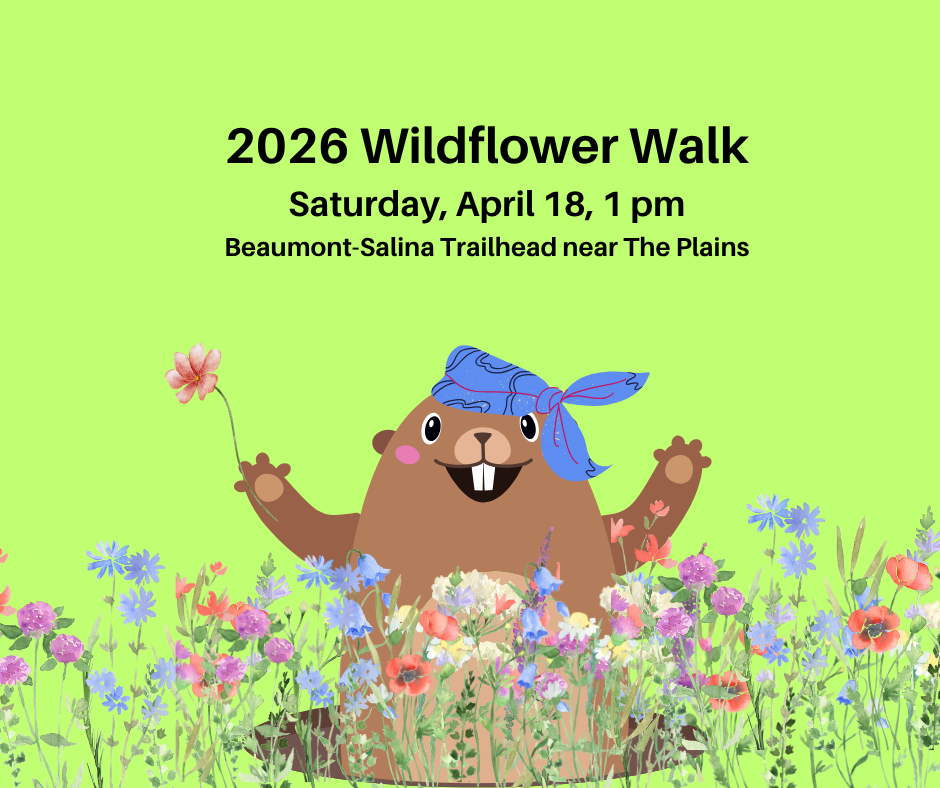 Wildflower Walk: April 18