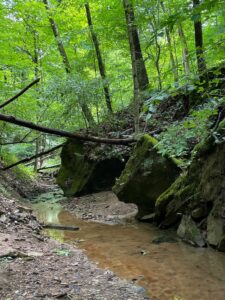 Joy Valley Nature Preserve