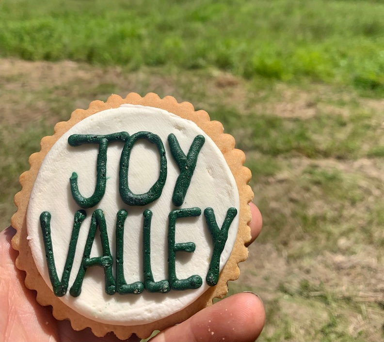 Photo round-up: Joy Valley Celebration