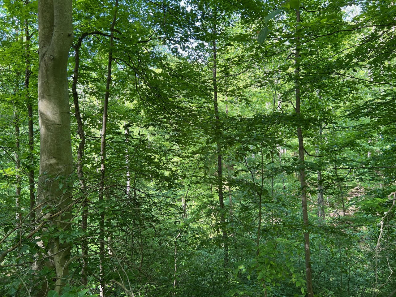 92 newly added acres expand protected lands