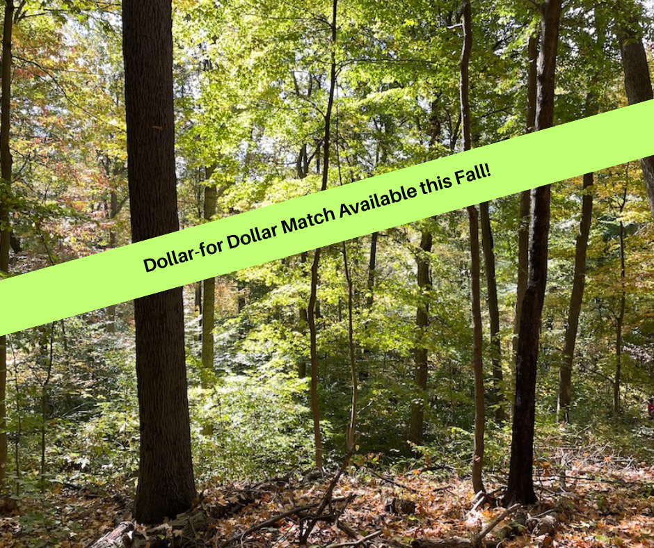Match available: Double your donation!